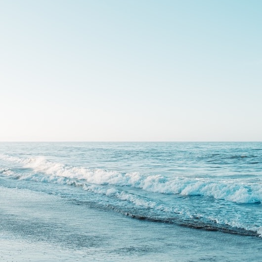 『ワンピース』ロビンの夢から、一つにこだわるより、色々な興味を持つことが大切なことを学んだ！